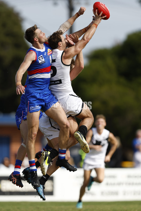 VFL Rd 5 - Footscray Bulldogs v Southport Sharks - A-1269990