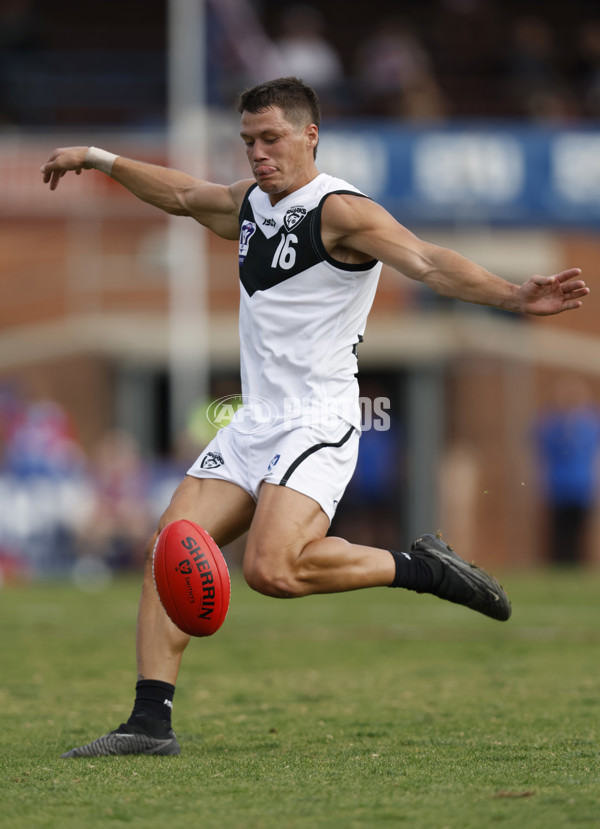 VFL Rd 5 - Footscray Bulldogs v Southport Sharks - A-1270002