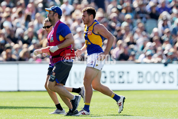 AFL Rd 6 - Port Adelaide v West Coast - A-1270028