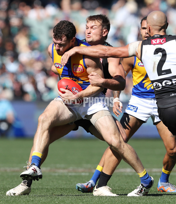 AFL Rd 6 - Port Adelaide v West Coast - A-1270037