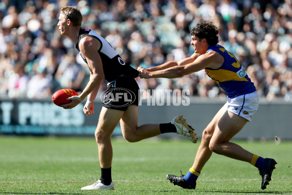 AFL Rd 6 - Port Adelaide v West Coast - A-1271797