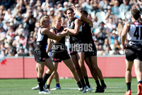 AFL Rd 6 - Port Adelaide v West Coast - A-1271800