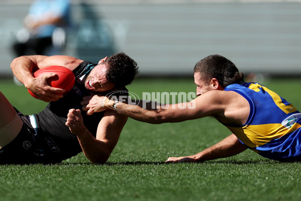 AFL Rd 6 - Port Adelaide v West Coast - A-1271811