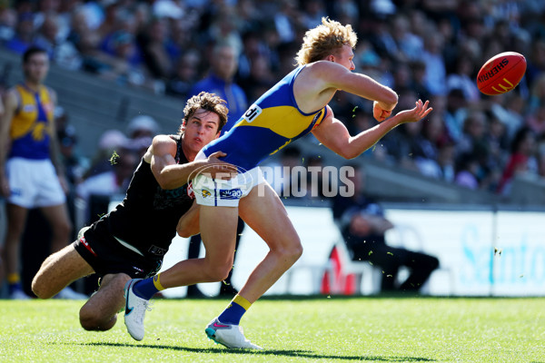 AFL Rd 6 - Port Adelaide v West Coast - A-1271817