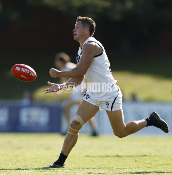 VFL Rd 5 - Footscray Bulldogs v Southport Sharks - A-1271847