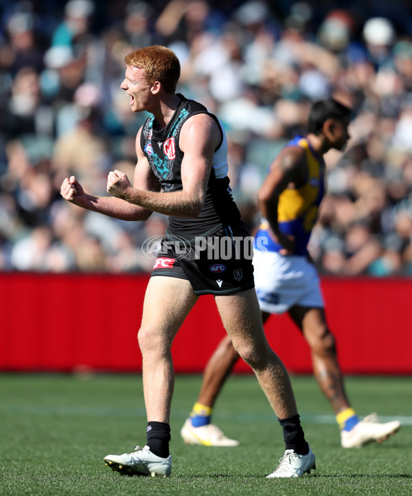 AFL Rd 6 - Port Adelaide v West Coast - A-1273127