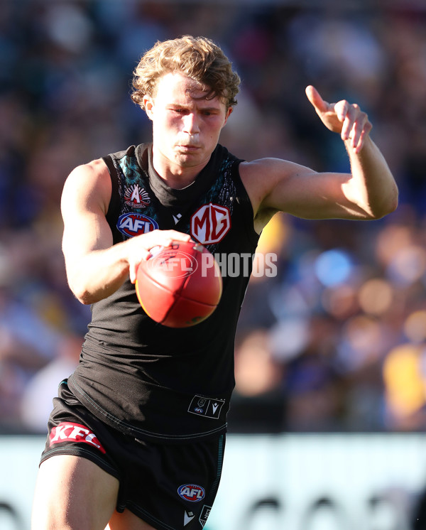 AFL Rd 6 - Port Adelaide v West Coast - A-1275164