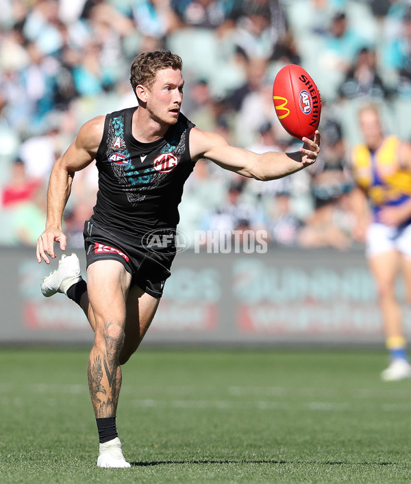 AFL Rd 6 - Port Adelaide v West Coast - A-1284346