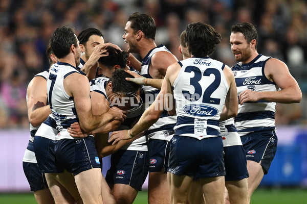 AFL Rd 6 - Geelong v Sydney - A-1284395