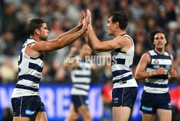 AFL Rd 6 - Geelong v Sydney - A-1287452