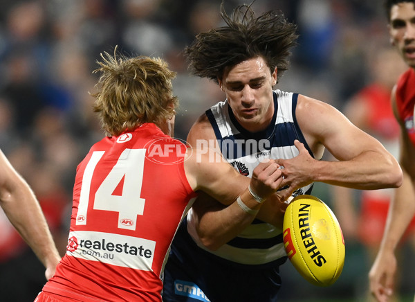 AFL Rd 6 - Geelong v Sydney - A-1287454