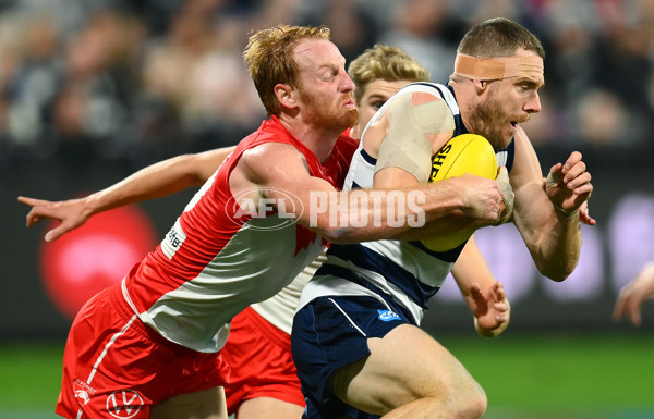 AFL Rd 6 - Geelong v Sydney - A-1287481