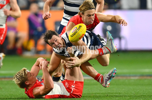 AFL Rd 6 - Geelong v Sydney - A-1287496