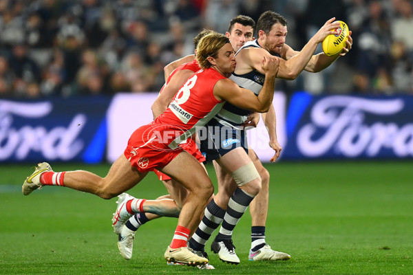 AFL Rd 6 - Geelong v Sydney - A-1288091