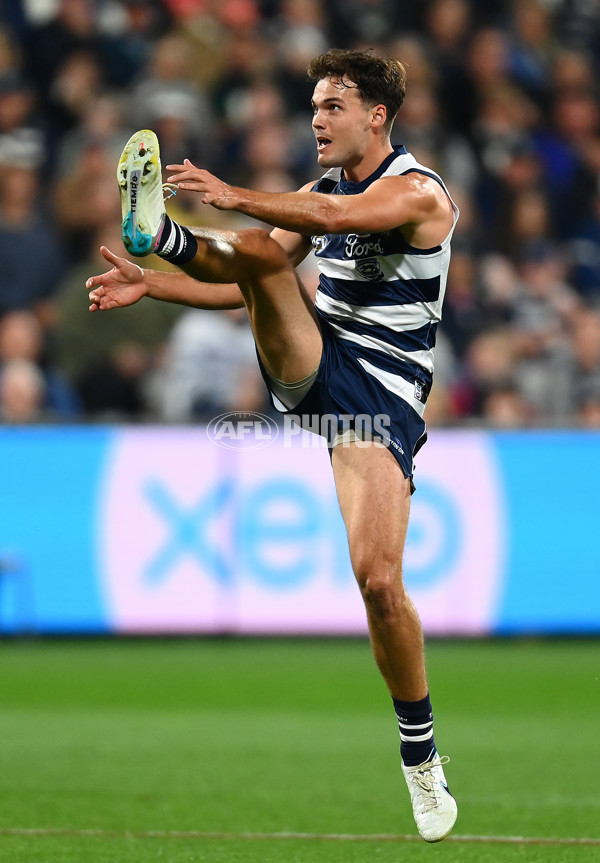 AFL Rd 6 - Geelong v Sydney - A-1288107