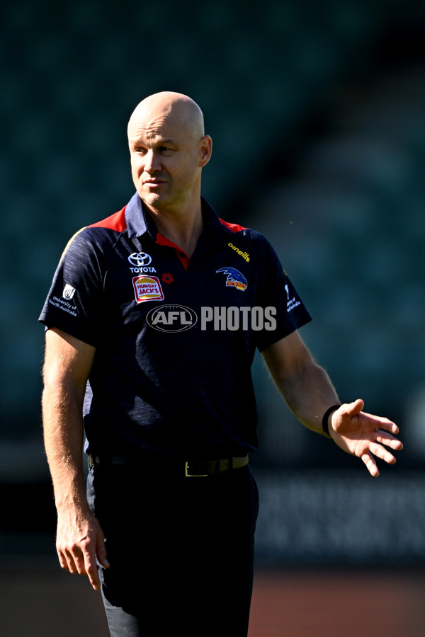 AFL Rd 6 - Hawthorn v Adelaide - A-1288142