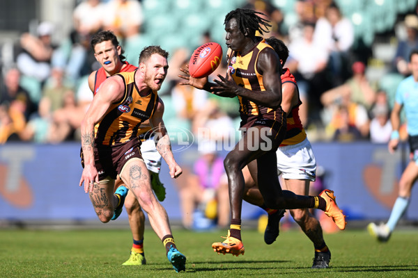 AFL Rd 6 - Hawthorn v Adelaide - A-1290725