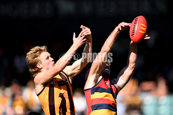 AFL Rd 6 - Hawthorn v Adelaide - A-1293003
