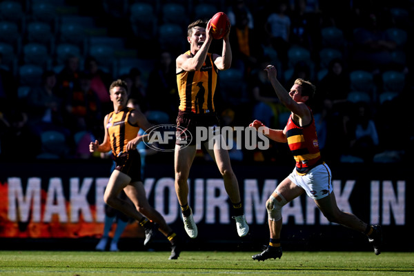 AFL Rd 6 - Hawthorn v Adelaide - A-1293027