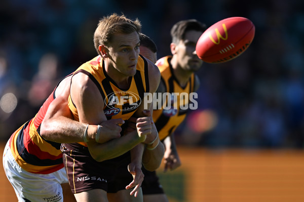 AFL Rd 6 - Hawthorn v Adelaide - A-1293029