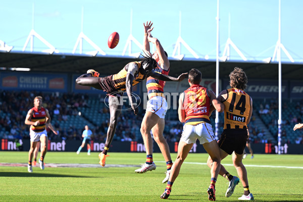 AFL Rd 6 - Hawthorn v Adelaide - A-1304513