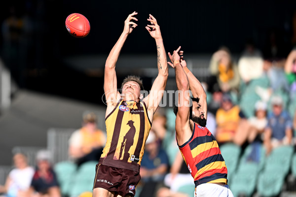 AFL Rd 6 - Hawthorn v Adelaide - A-1305478