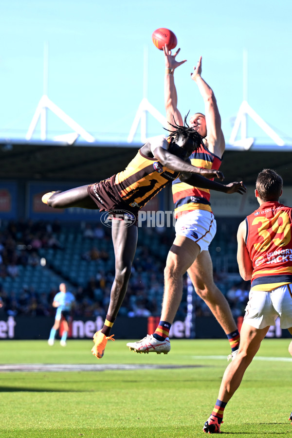 AFL Rd 6 - Hawthorn v Adelaide - A-1305499