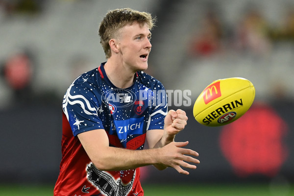 AFL Rd 6 - Melbourne v Richmond - A-1307856