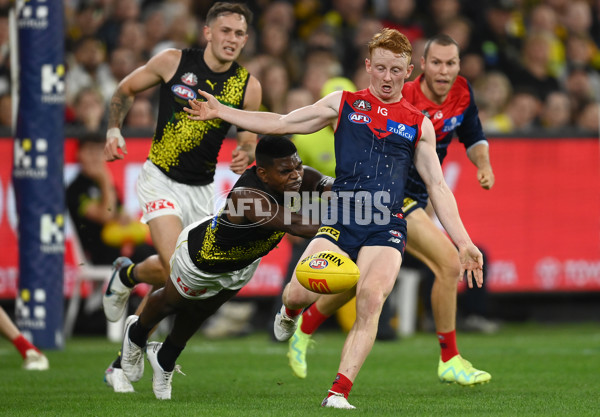 AFL Rd 6 - Melbourne v Richmond - A-1311346