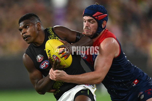 AFL Rd 6 - Melbourne v Richmond - A-1313559