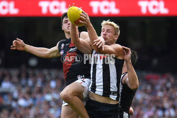 AFL Rd 6 - Collingwood v Essendon - A-1315169
