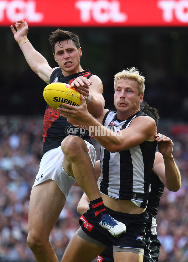 AFL Rd 6 - Collingwood v Essendon - A-1318268
