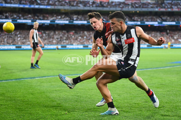 AFL Rd 6 - Collingwood v Essendon - A-1318310