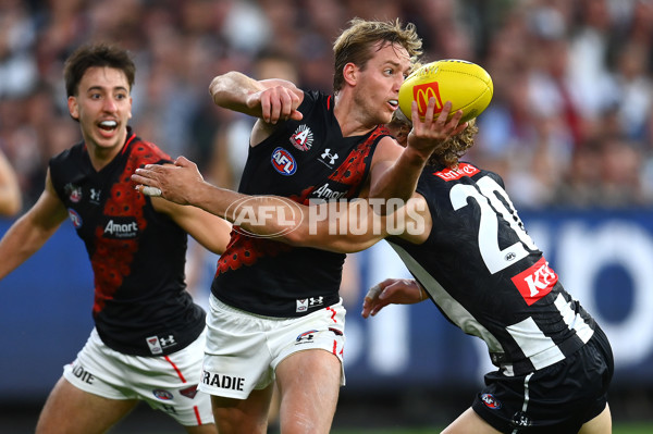 AFL Rd 6 - Collingwood v Essendon - A-1318313