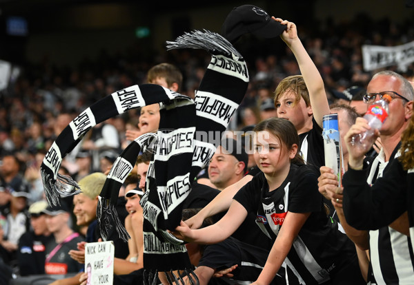 AFL Rd 6 - Collingwood v Essendon - A-1318333