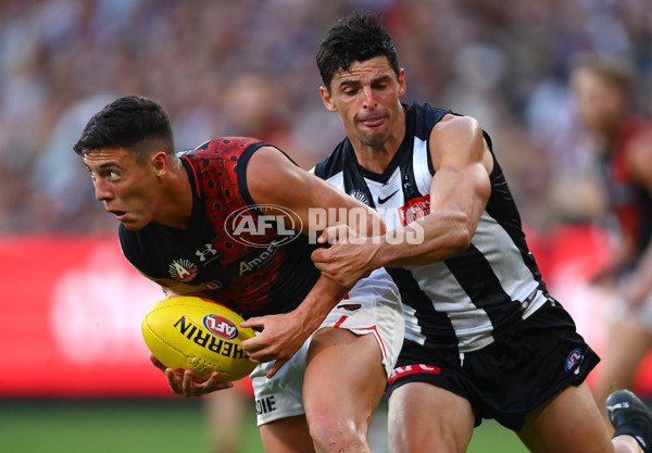 AFL Rd 6 - Collingwood v Essendon - A-1318351