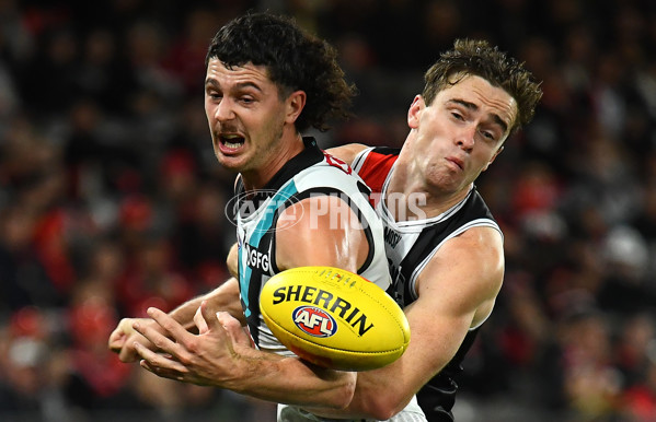 AFL Rd 7 - St Kilda v Port Adelaide - A-1320631