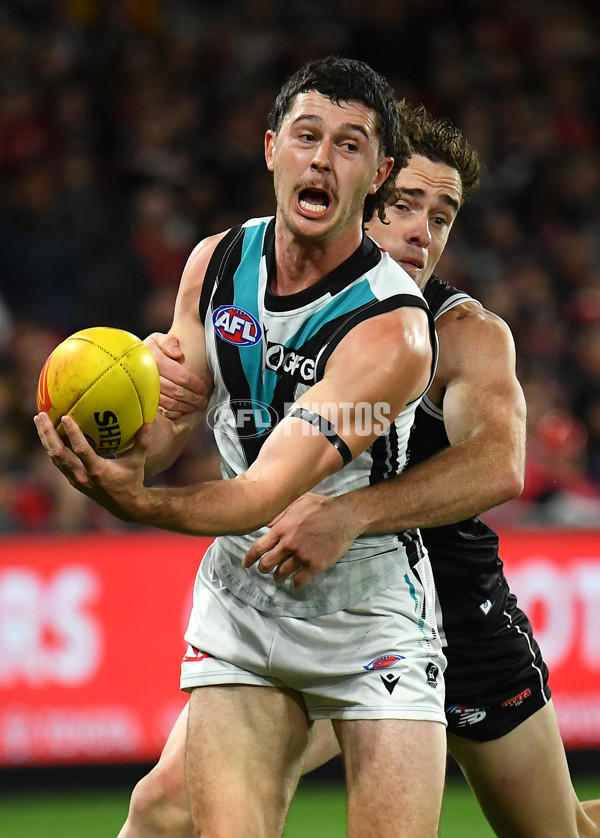 AFL Rd 7 - St Kilda v Port Adelaide - A-1321123