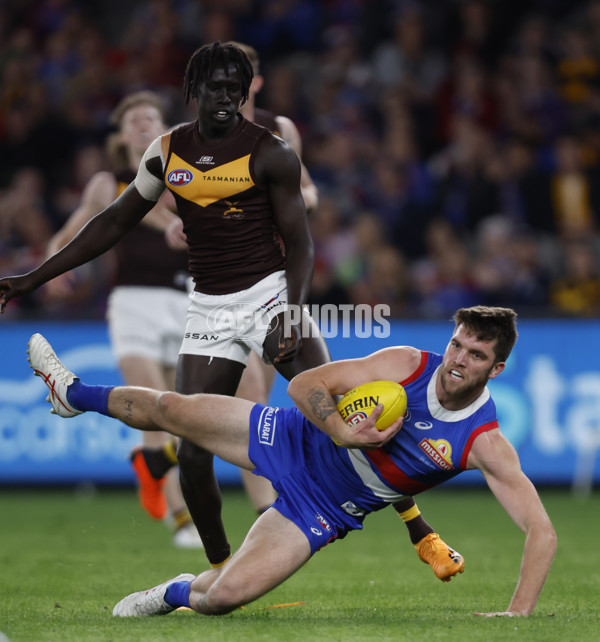 AFL Rd 7 - Western Bulldogs v Hawthorn - A-1348386
