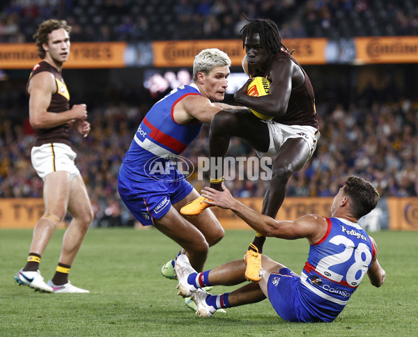 AFL Rd 7 - Western Bulldogs v Hawthorn - A-1356762