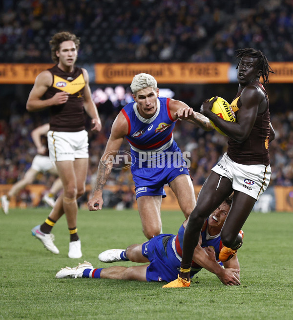 AFL Rd 7 - Western Bulldogs v Hawthorn - A-1357079