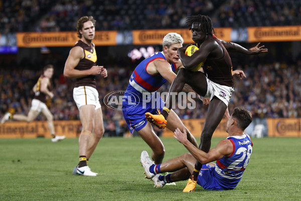 AFL Rd 7 - Western Bulldogs v Hawthorn - A-1357080