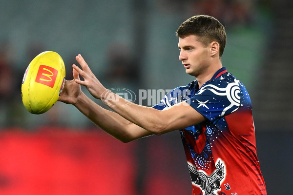 AFL Rd 7 - Melbourne v North Melbourne - A-1357093
