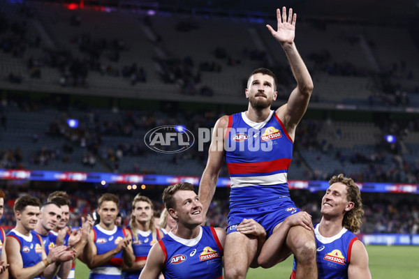 AFL Rd 7 - Western Bulldogs v Hawthorn - A-1357109