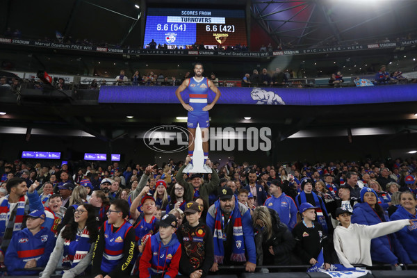 AFL Rd 7 - Western Bulldogs v Hawthorn - A-1357121