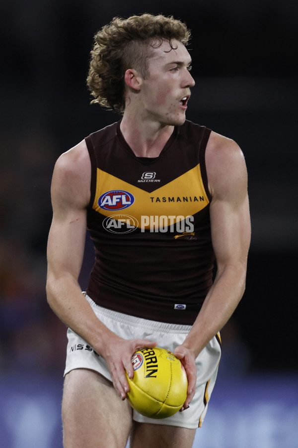 AFL Rd 7 - Western Bulldogs v Hawthorn - A-1357122