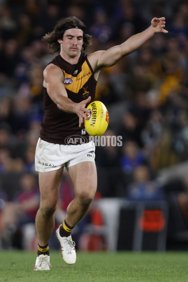 AFL Rd 7 - Western Bulldogs v Hawthorn - A-1357123