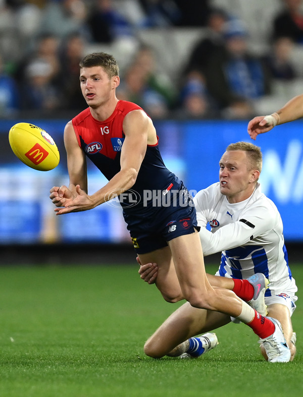 AFL Rd 7 - Melbourne v North Melbourne - A-1359665