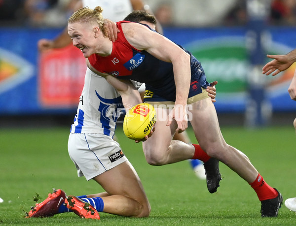 AFL Rd 7 - Melbourne v North Melbourne - A-1359721
