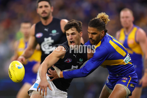 AFL Rd 7 - West Coast v Carlton - A-1360799